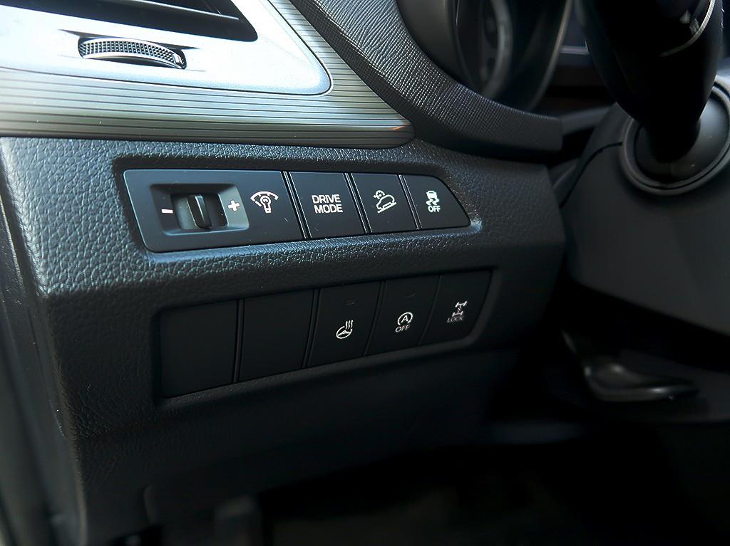 [현대] 더뉴맥스크루즈 E-VGT R2.2 4WD 익스클루시브       (6인승) - 이미지 14