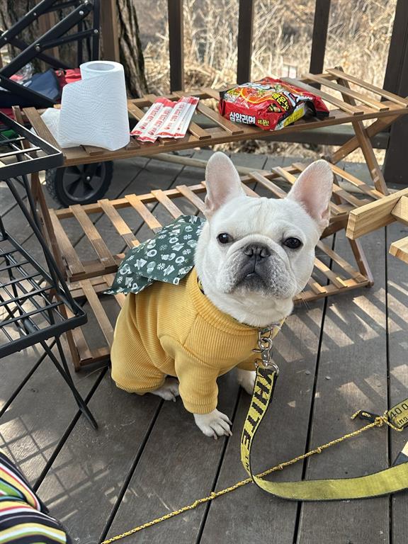 [포르쉐] 718 박스터 2.0 - 이미지 6