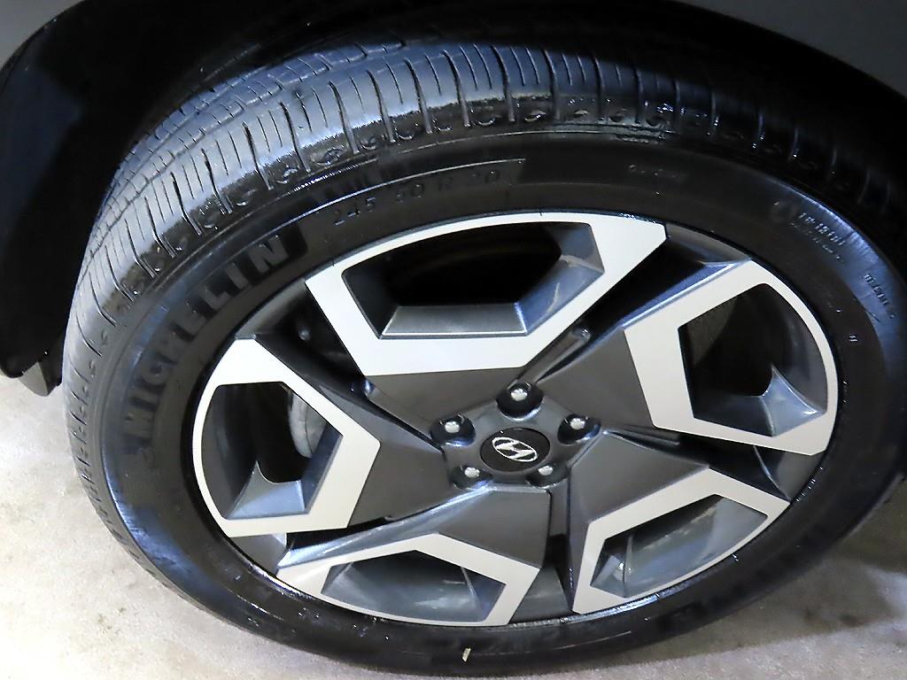 현대 더 뉴팰리세이드 2.2 디젤 AWD 르블랑