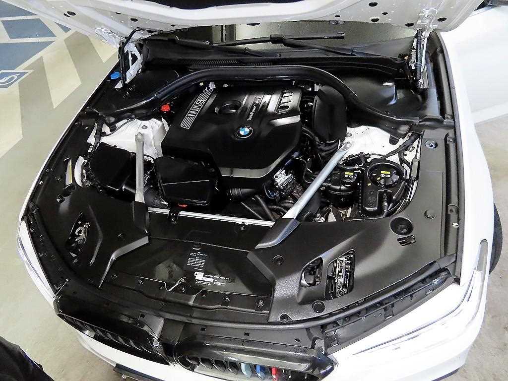 BMW 5시리즈(7세대) 530i M스포츠팩 플러스 - 이미지 8