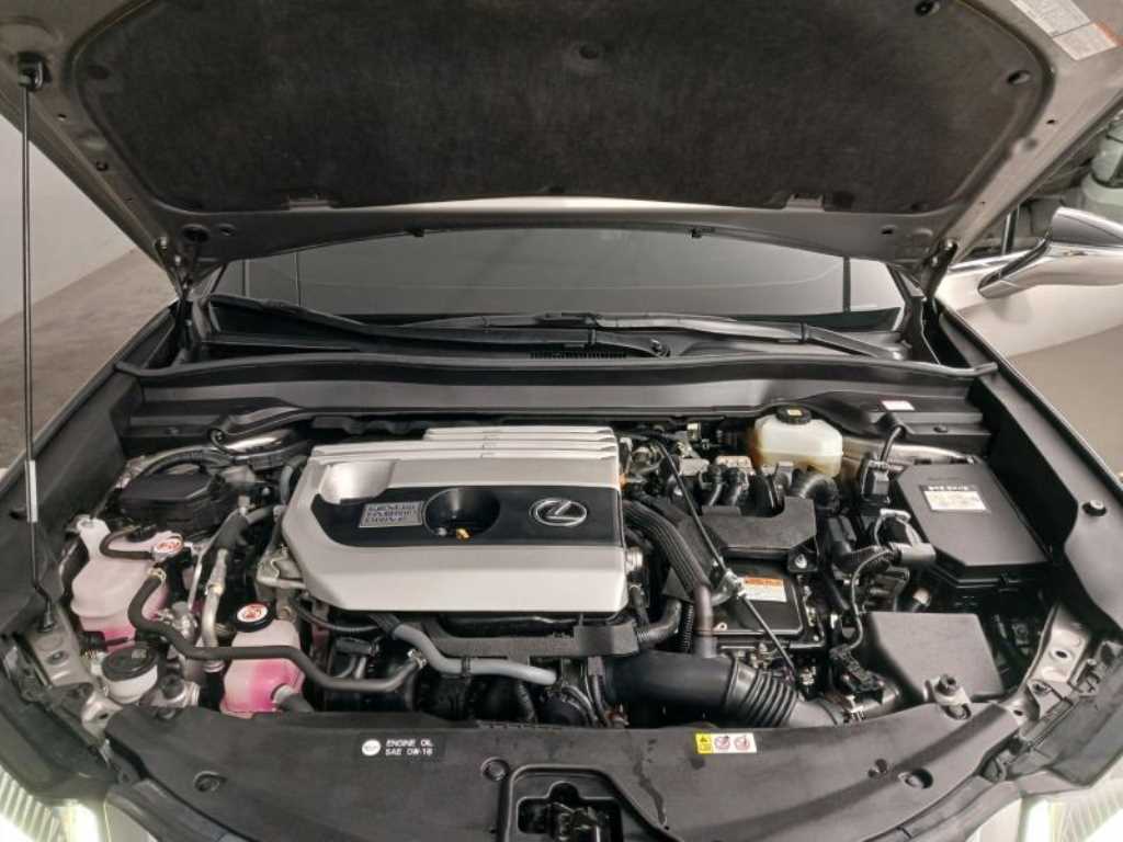 렉서스 UX 250h 2WD F 스포츠 - 이미지 14