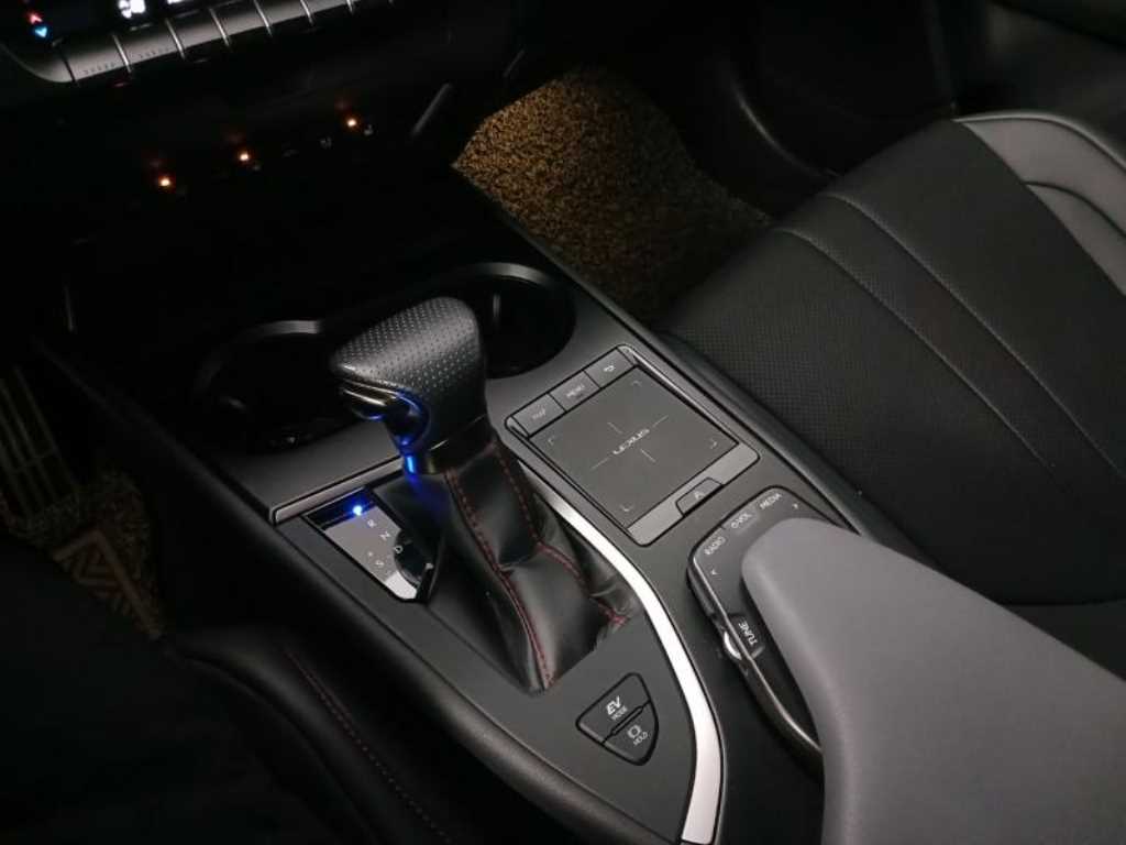 렉서스 UX 250h 2WD F 스포츠 - 이미지 18