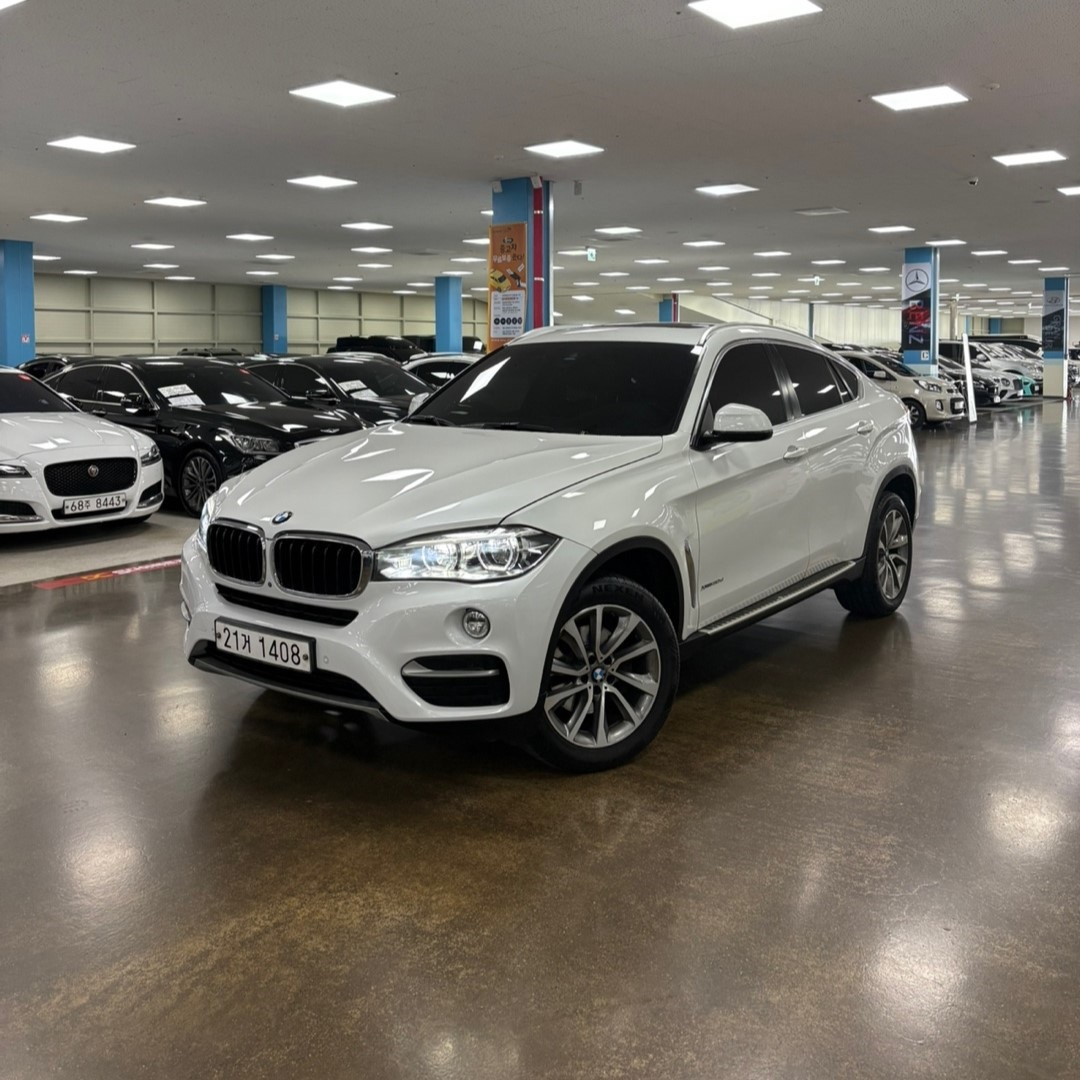 BMW X6(2세대) 30d xDrive