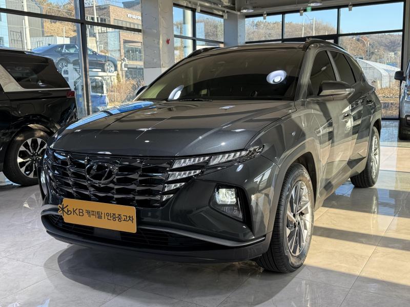 현대 더 올뉴투싼 1.6 터보 2WD 프리미엄 - 이미지 14
