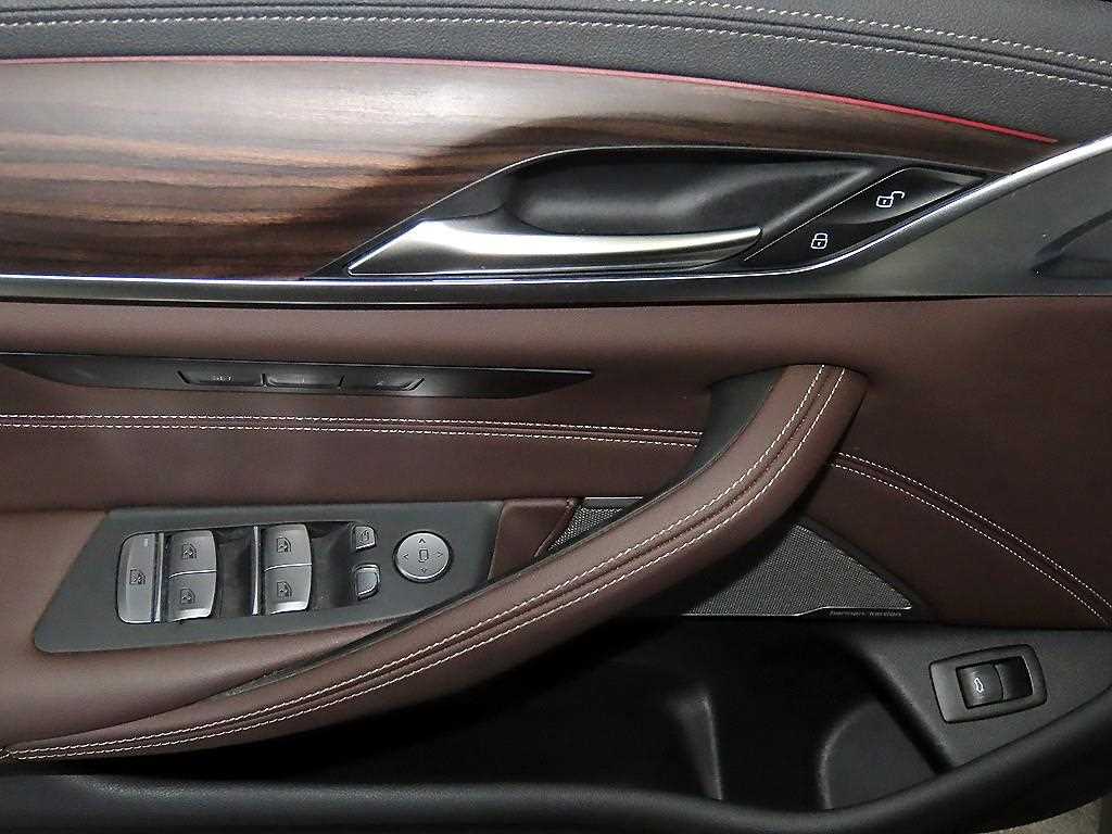 BMW 5시리즈(7세대) 530i xDrive M 스포츠팩 - 이미지 6