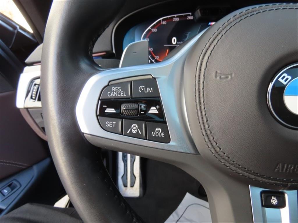 BMW 5시리즈(7세대) 530i M 스포츠팩 - 이미지 14