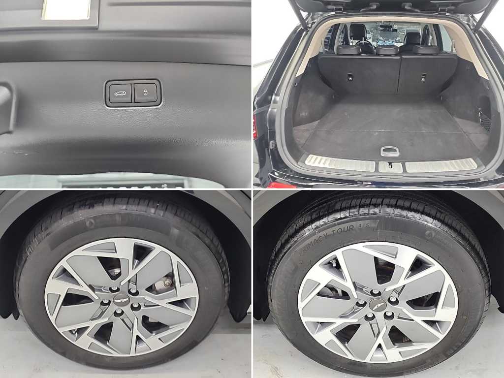 제네시스 eGV70 EV AWD 기본형