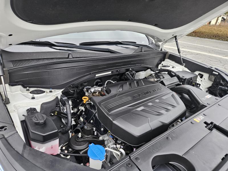 현대 더 뉴팰리세이드 2.2 디젤 AWD 캘리그래피 - 이미지 17