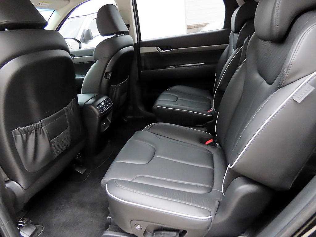 현대 더 뉴팰리세이드 2.2 디젤 AWD 익스클루시브 - 이미지 20