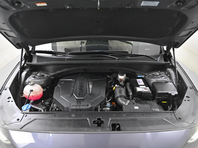 현대 더 뉴싼타페 디젤 2.2 AWD 프리미엄 초이스 - 이미지 3