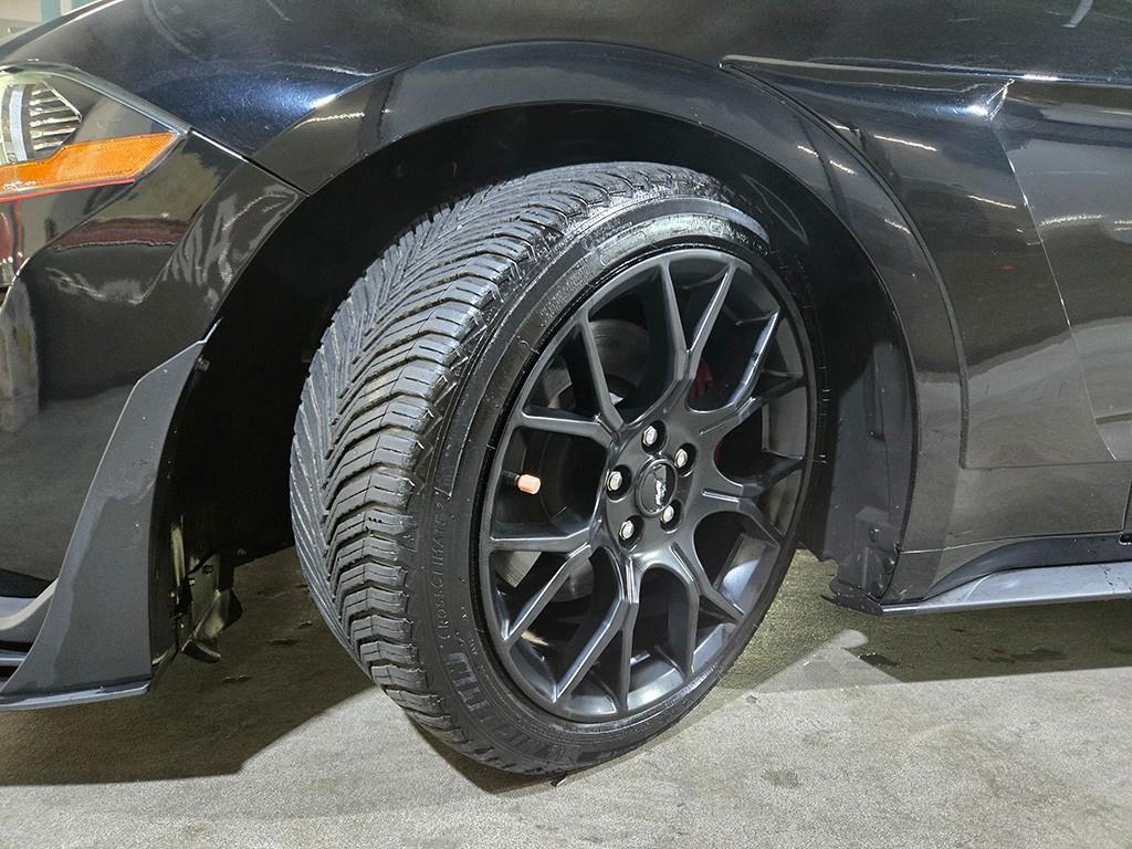 포드 머스탱(6세대) 컨버터블 2.3 프리미엄 - 이미지 20