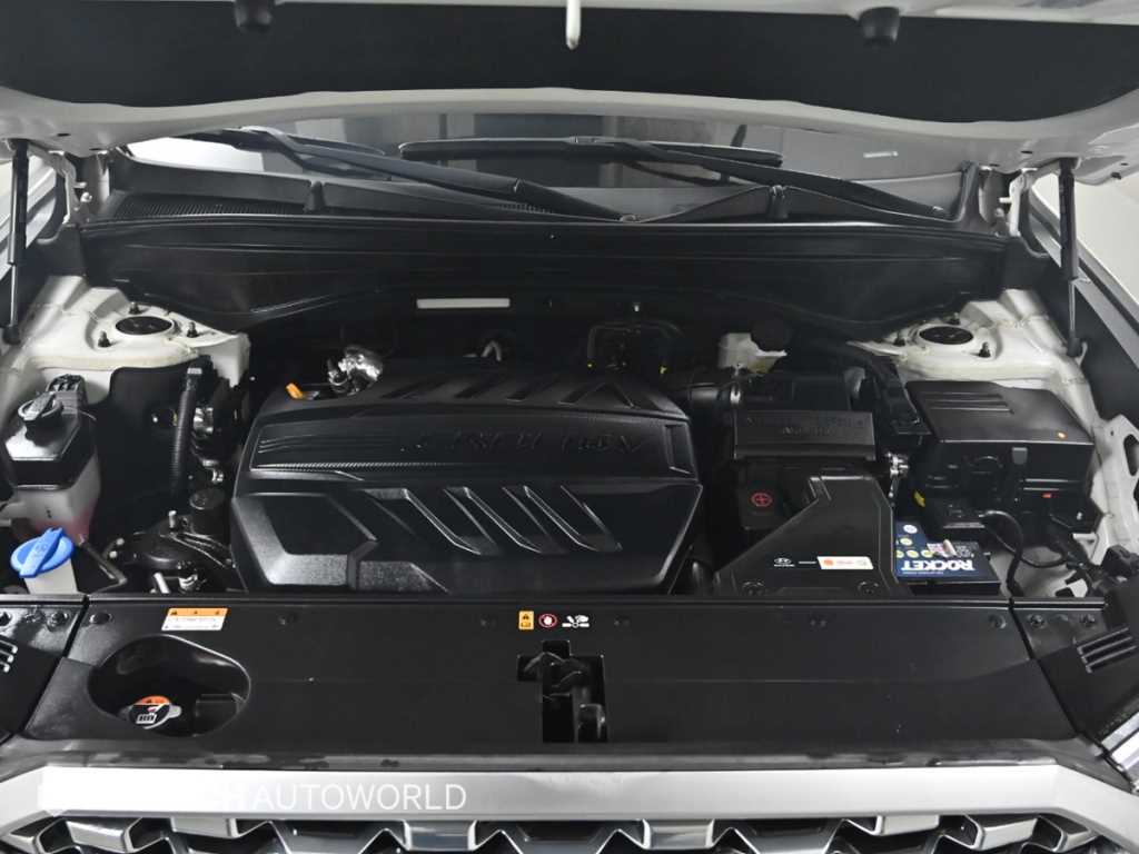 현대 팰리세이드 2.2 디젤 익스클루시브 - 이미지 14