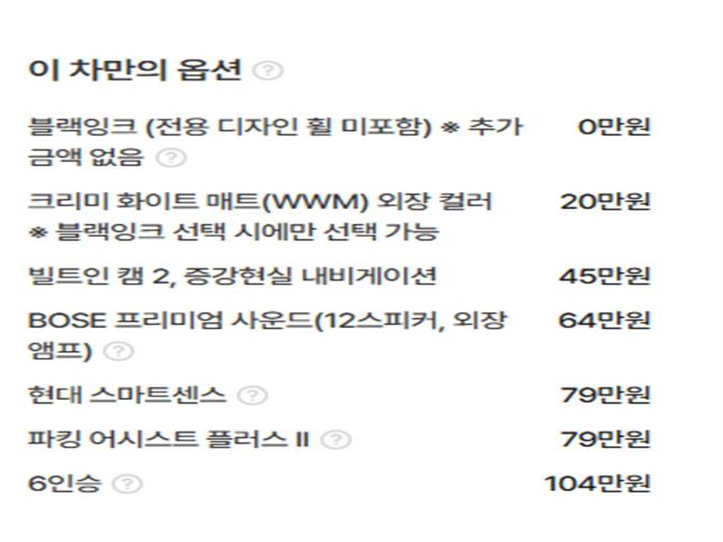 현대 디 올뉴싼타페 하이브리드 1.6 HEV AWD 캘리그래피 - 이미지 19