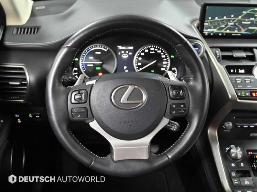 렉서스 NX 300h 이그제큐티브 - 이미지 10