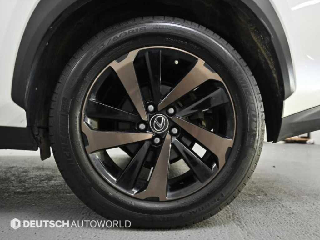 렉서스 NX 300h 이그제큐티브 - 이미지 17