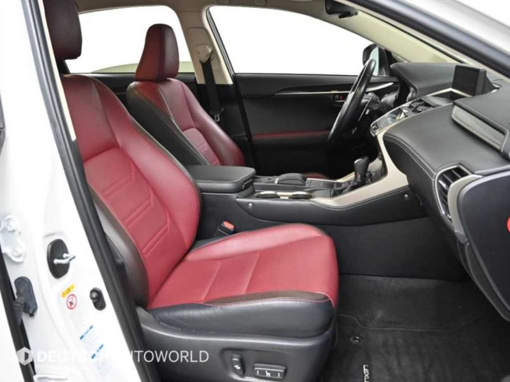 렉서스 NX 300h 이그제큐티브 - 이미지 18