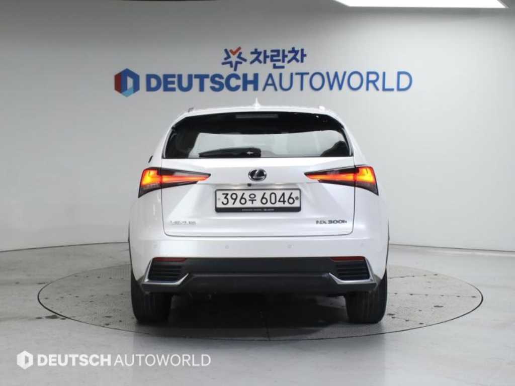 렉서스 NX 300h 이그제큐티브 - 이미지 9