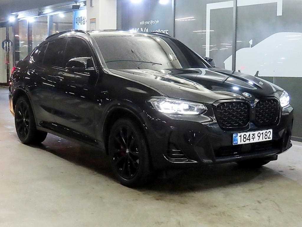 BMW X4(2세대) 20i xDrive M스포츠 프로 SE - 이미지 20