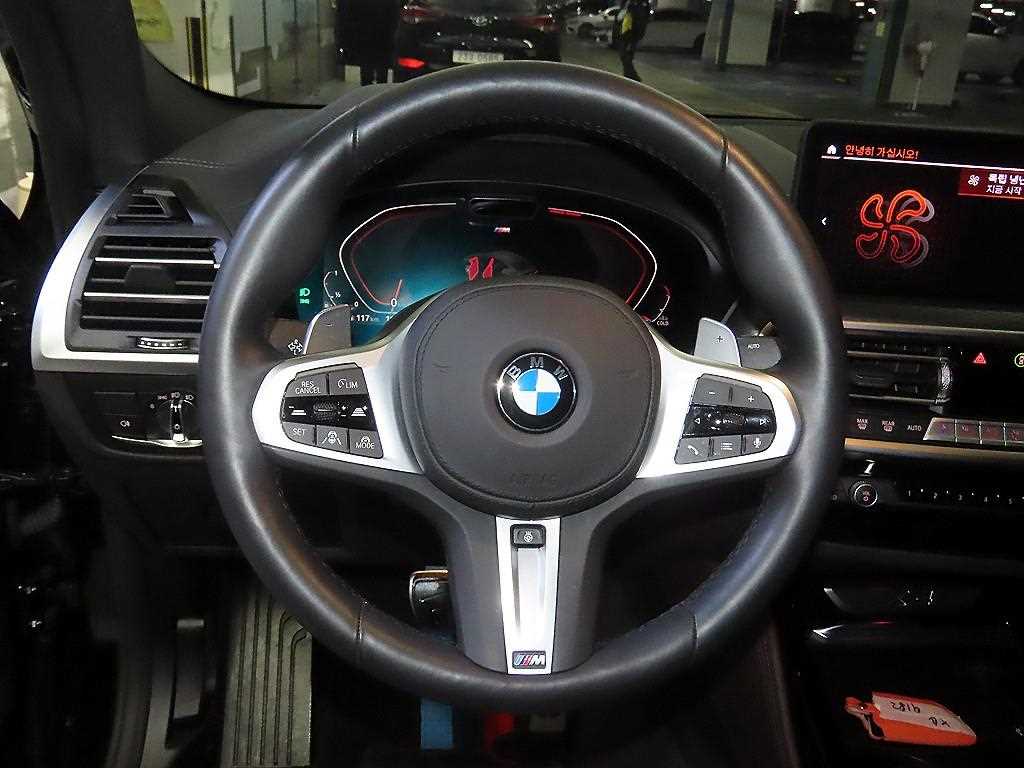 BMW X4(2세대) 20i xDrive M스포츠 프로 SE - 이미지 12