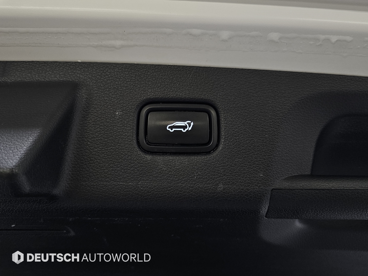 현대 더 뉴팰리세이드 2.2 디젤 AWD 프레스티지 - 이미지 12